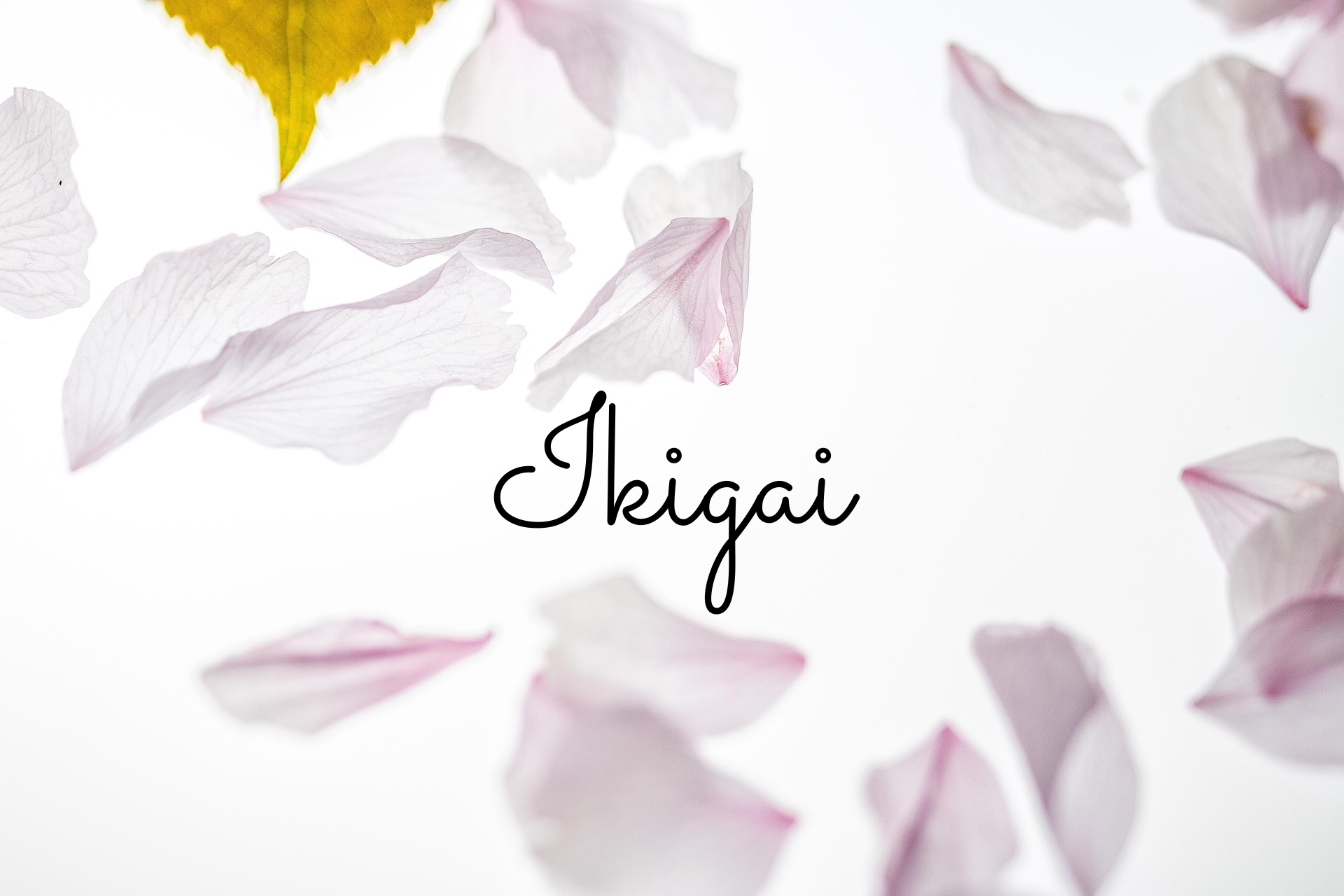 Die fünf Säulen des Ikigai