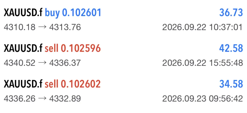 Copy Trading Erfahrung 2026: Meine Copy x SONIC Ergebnisse Copy Trading Erfahrung