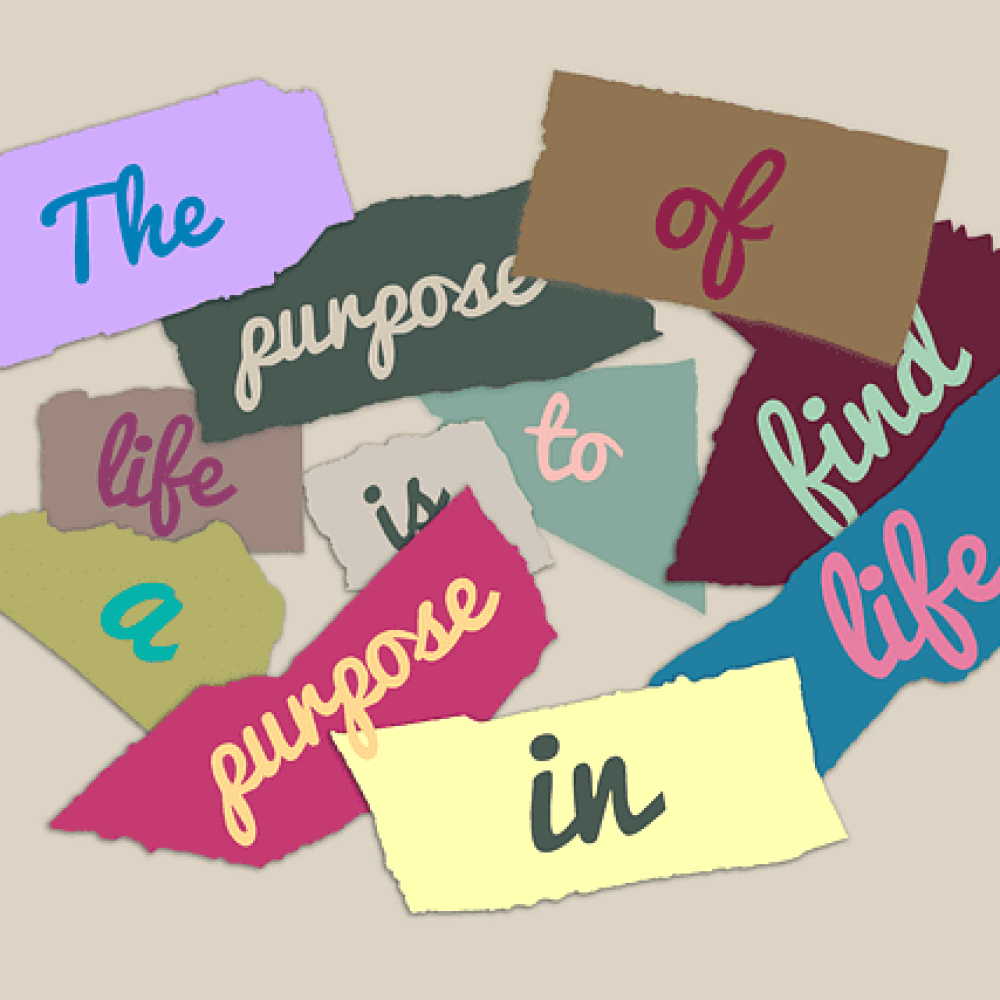 Die Frage nach dem Warum