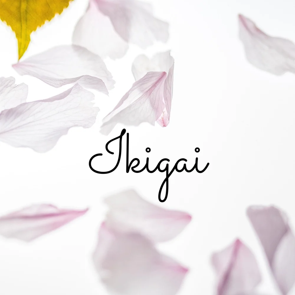 Die fuenf Saeulen des Ikigai