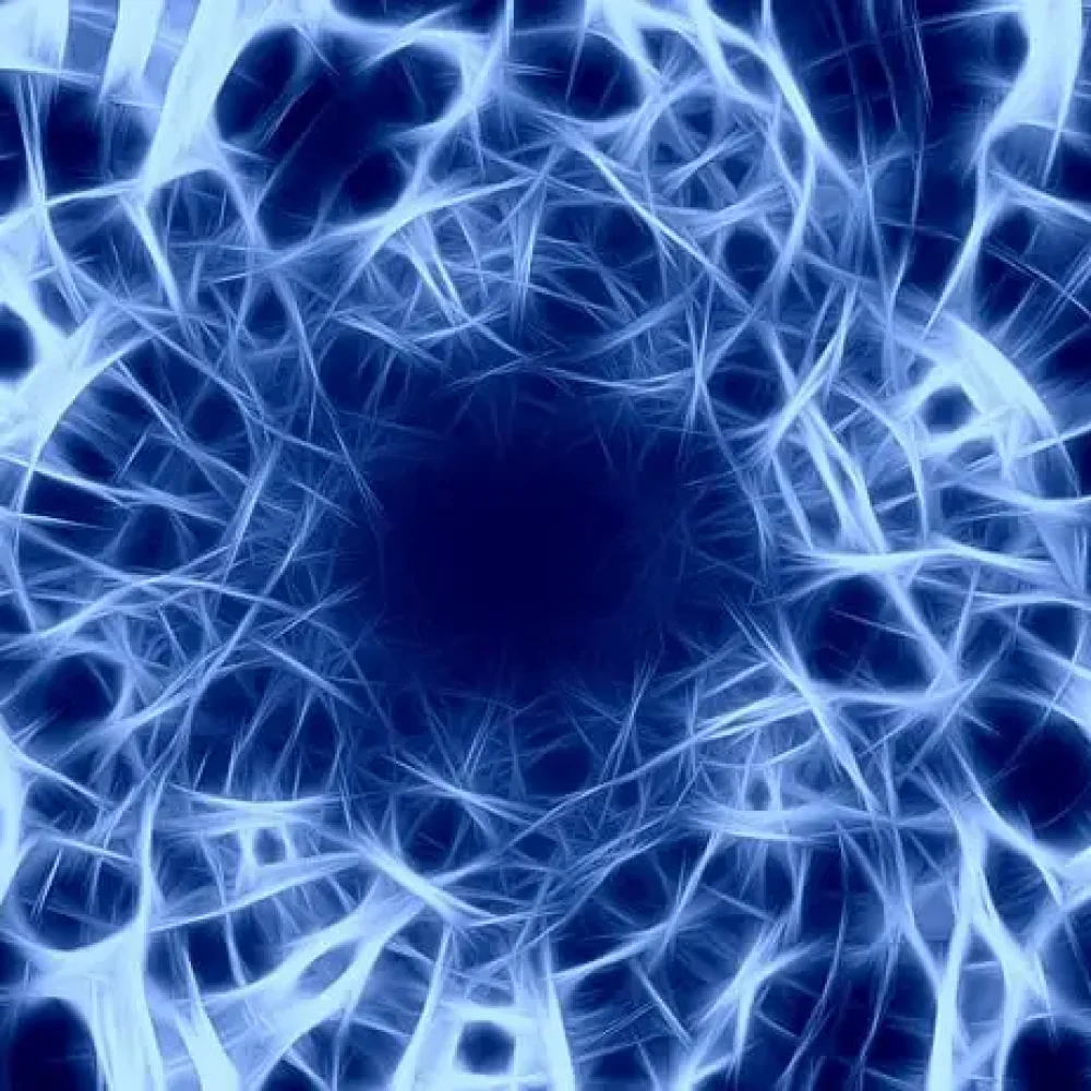 Nervensystem regulieren