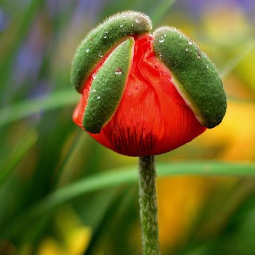 Stärken stärken Schwächen schwächen