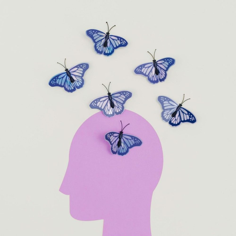 rosa kopf, schmetterlinge