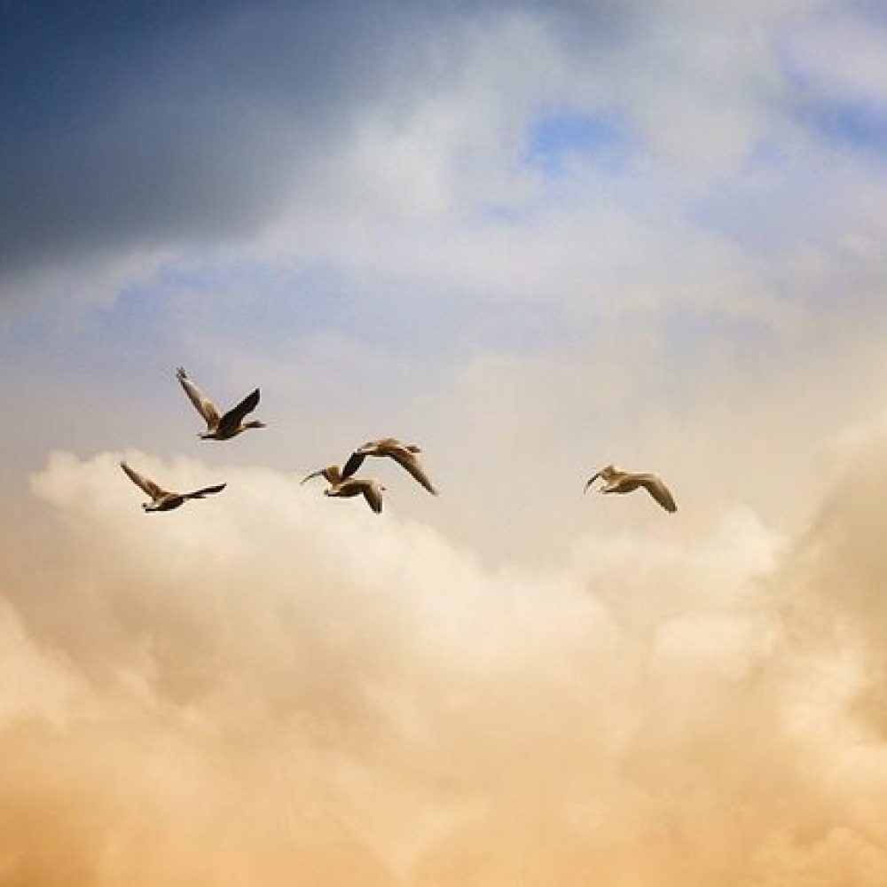 Du bist nicht deine Gedanken