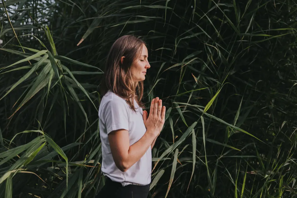 Arten der Meditation